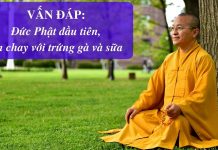 Vấn đáp: Đức Phật đầu tiên, ăn chay với trứng gà và sữa – Thích Nhật Từ van dap duc phat dau tien an cha