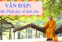 Vấn đáp: Đức Phật dạy về tình yêu – hôn nhân – gia đình – Thích Nhật Từ van dap duc phat day ve tinh yeu