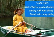 Vấn đáp: Đức Phật không ban phước giáng họa, phước báo cúng dường – Thích Nhật Từ van dap duc phat khong ban phuoc