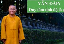 Vấn đáp: Duy tâm tịnh độ – Thích Nhật Từ van dap duy tam tinh do thich nh