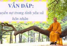 Vấn đáp: Duyên nợ trong tình yêu và hôn nhân – Thích Nhật Từ van dap duyen no trong tinh yeu