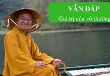 Vấn đáp: Giá trị của vô thường – Thích Nhật Từ van dap gia tri cua vo thuong th