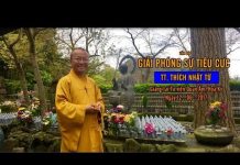 Vấn đáp: Giải phóng sự tiêu cực – Thích Nhật Từ van dap giai phong su tieu cuc t