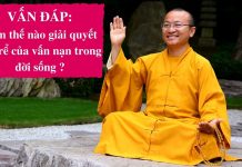 Vấn đáp: Giải quyết gốc rể của vấn nạn trong đời sống – Thích Nhật Từ van dap giai quyet goc re cua va