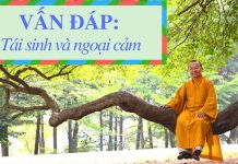 Vấn đáp: Giải thích hiện tượng tái sinh và ngoại cảm – Thích Nhật Từ van dap giai thich hien tuong ta