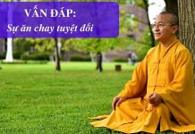 Vấn đáp: Giải thích ” Sự ăn chay tuyệt đối ” – Thích Nhật Từ van dap giai thich su an chay tu