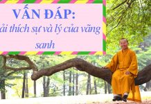 Vấn đáp: Giải thích sự và lý của vãng sanh – Thích Nhật Từ van dap giai thich su va ly cua