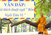 Vấn đáp: Giải thích thuật ngữ ” Bốn Ngôi Tám Vị ” – Thích Nhật Từ van dap giai thich thuat ngu bon