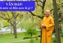 Vấn đáp: Giải thích Tích môn và Bổn môn – Thích Nhật Từ van dap giai thich tich mon va b