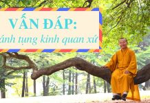 Vấn đáp: Giài thích “Tránh tụng kinh quan xứ” – Thích Nhật Từ van dap giai thich tranh tung ki