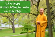 Vấn đáp: Giải thích tướng tóc xoăn của Đức Phật – Thích Nhật Từ van dap giai thich tuong toc xoa
