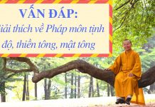 Vấn đáp: Giải thích về Pháp môn tịnh độ, thiền tông, mật tông – Thích Nhật Từ van dap giai thich ve phap mon t