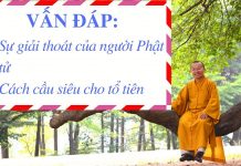 Vấn đáp: Giải thoát của người Phật tử, cầu siêu cho tổ tiên – Thích Nhật Từ van dap giai thoat cua nguoi pha