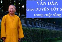 Vấn đáp: Gieo duyên tốt xấu trong cuộc sống – Thích Nhật Từ van dap gieo duyen tot xau trong