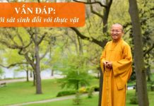 Vấn đáp: Giới sát sinh đối với thực vật – Thích Nhật Từ van dap gioi sat sinh doi voi th