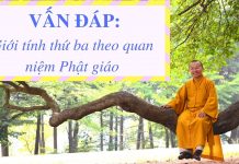 Vấn đáp: Giới tính thứ ba theo quan niệm Phật giáo – Thích Nhật Từ van dap gioi tinh thu ba theo qu