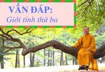 Vấn đáp: Giới tính thứ ba – Thích Nhật Từ van dap gioi tinh thu ba thich n