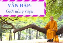 Vấn đáp: Giới uống rượu – Thích Nhật Từ van dap gioi uong ruou thich nha