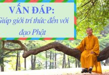 Vấn đáp: Giúp giới trí thức đến với đạo Phật – Thích Nhật Từ van dap giup gioi tri thuc den v