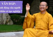 Vấn đáp: Hành động của người tâm thần có tạo nghiệp – Thích Nhật Từ van dap hanh dong cua nguoi tam