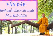 Vấn đáp: Hạnh hiếu thảo của ngài Mục Kiền Liên – Thích Nhật Từ van dap hanh hieu thao cua ngai