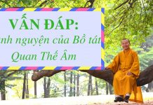 Vấn đáp: Hạnh nguyện của Bồ tát Quan Thế Âm – Thích Nhật Từ van dap hanh nguyen cua bo tat q