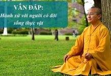 Vấn đáp: Hành xử với người có đời sống thực vật, Có nên an tử – trợ tử – Thích Nhật Từ van dap hanh xu voi nguoi co doi
