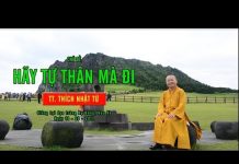 Vấn đáp: Hãy Tự Thân Mà Đi – Thích Nhật Từ van dap hay tu than ma di thich