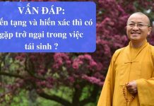 Vấn đáp: Hiến tạng (hiến xác) có gặp trở ngại trong việc tái sinh ? – Thích Nhật Từ van dap hien tang hien xac co ga