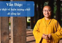 Vấn đáp: Hiện tượng chết đi sống lại – Thích Nhật Từ van dap hien tuong chet di song