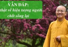 Vấn đáp: Hiện tượng chết sống lại, cảnh giới địa ngục – Thích Nhật Từ van dap hien tuong chet song lai