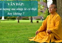 Vấn đáp: Hiện tượng ma nhập – Thích Nhật Từ van dap hien tuong ma nhap thich
