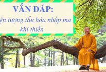Vấn đáp: Hiện tượng tẩu hỏa nhập ma khi thiền – Thích Nhật Từ van dap hien tuong tau hoa nhap
