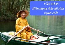 Vấn đáp: Hiện tượng thức tái sinh của người chết – Thích Nhật Từ van dap hien tuong thuc tai sinh