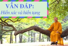Vấn đáp: Hiến xác và hiến tạng (Bố thí nội tài) – Thích Nhật Từ van dap hien xac va hien tang bo