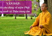 Vấn đáp: Hiểu cho đúng về niệm Phật vãng sanh và Thân trung ấm – Thích Nhật Từ van dap hieu cho dung ve niem ph