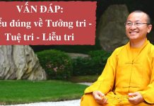 Vấn đáp: Hiểu đúng về Tưởng trí, Tuệ trí, Liễu trí – Thích Nhật Từ van dap hieu dung ve tuong tri t