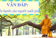 Vấn đáp: Hiếu hạnh của người xuất gia – Thích Nhật Từ van dap hieu hanh cua nguoi xuat