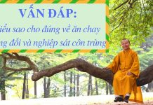 Vấn đáp: Hiểu sao cho đúng về ăn chay tương đối, nghiệp sát côn trùng – Thích Nhật Từ van dap hieu sao cho dung ve an