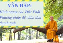 Vấn đáp: Hình tượng các Đức Phật, phương pháp để chân tâm thanh tịnh – Thích Nhật Từ van dap hinh tuong cac duc phat