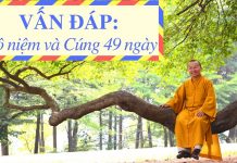 Vấn đáp: Hộ niệm – Cúng 49 ngày – Thích Nhật Từ van dap ho niem cung 49 ngay thi