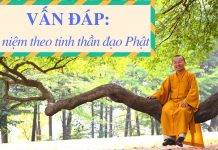 Vấn đáp: Hộ niệm theo tinh thần đạo Phật – Thích Nhật Từ van dap ho niem theo tinh than d