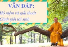 Vấn đáp: Hộ niệm và giải thoát, cảnh giới tái sinh – Thích Nhật Từ van dap ho niem va giai thoat ca