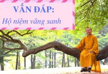 Vấn đáp: Hộ niệm vãng sanh – Thích Nhật Từ van dap ho niem vang sanh thich