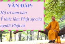 Vấn đáp: Hộ trì tam bảo, ý thức làm Phật sự của người Phật tử – Thích Nhật Từ van dap ho tri tam bao y thuc la