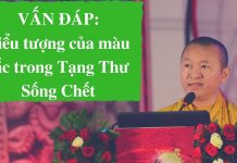 Vấn đáp: Hỗ trợ người ở cận tử nghiệp – Thích Nhật Từ van dap ho tro nguoi o can tu ng
