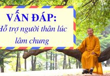 Vấn đáp: Hỗ trợ người thân lúc lâm chung – Thích Nhật Từ van dap ho tro nguoi than luc la