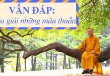 Vấn đáp: Hóa giải những mâu thuẫn – Thích Nhật Từ van dap hoa giai nhung mau thuan