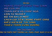 Vấn đáp: Hoằng pháp trong trại giam, mở cửa mã, thân kiến và chấp ngã, cận tử nghiệp,… van dap hoang phap trong trai gi