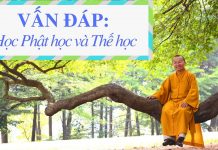 Vấn đáp: Học Phật học và Thế học – Thích Nhật Từ van dap hoc phat hoc va the hoc